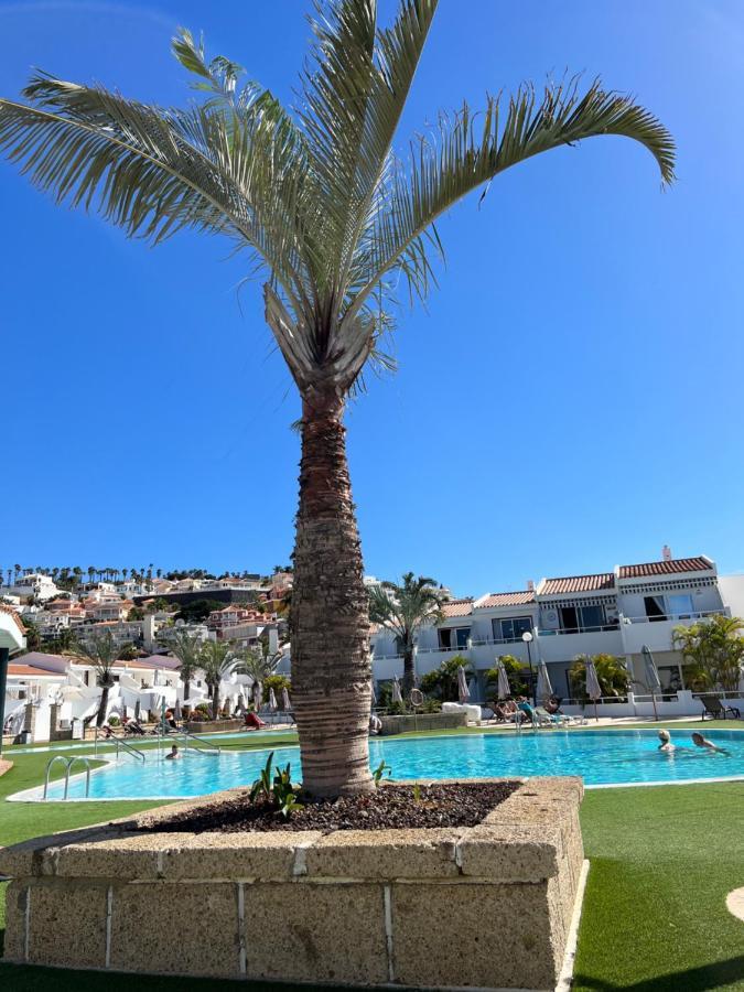 Lovely Sunny Apartment أذيخي المظهر الخارجي الصورة