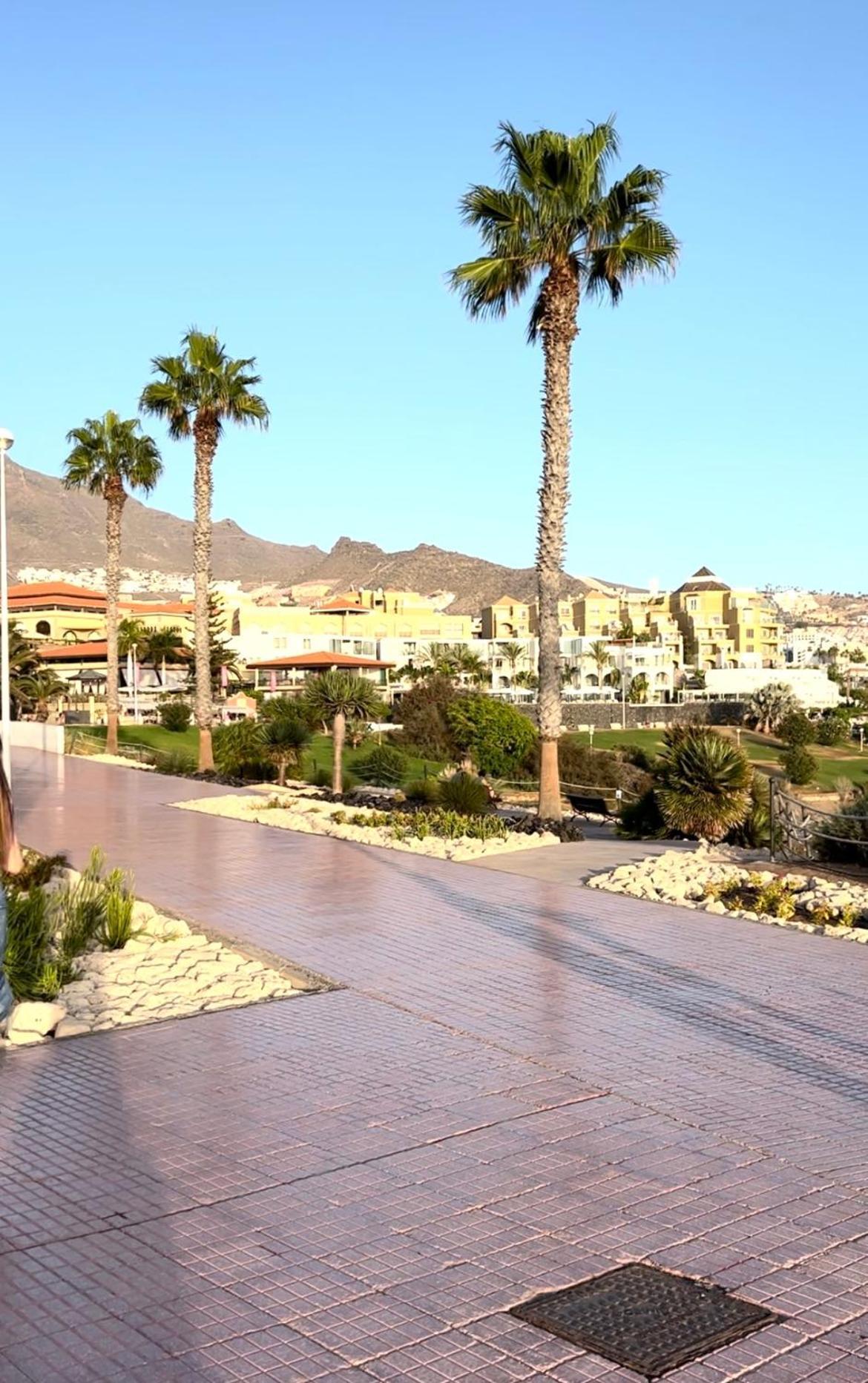 Lovely Sunny Apartment أذيخي المظهر الخارجي الصورة